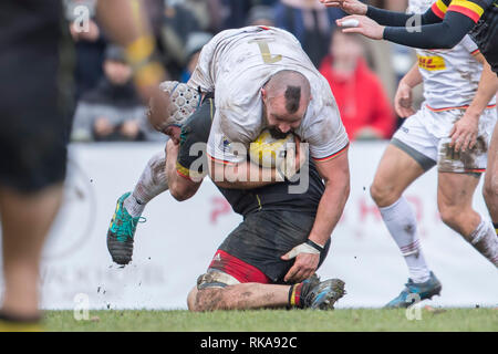 Bruxelles, Belgique. 09Th Feb 2019. Rugby : EM, Division 1A, Journée 1 : Belgium-Germany. Tom Herenger (Belgique, 5) épaules Toby Williams (Allemagne, 1). L'équipe a perdu à 22:29 (7:12). Credit : Jürgen Kessler/dpa/Alamy Live News Banque D'Images