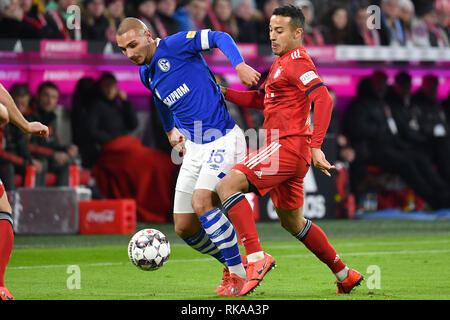 Munich, Allemagne. 09Th Feb 2019. Thiago ALCANTARA (FCB), action, les duels contre Ahmed KUTUCU (FC Schalke 04). Le football 1. Bundesliga, 21.journée, journée21, FC Bayern Munich M) - FC Schalke 04 (GE) 3-1, le 09.02.2019 dans Muenchen ALLIANZARENA, DFL RÈGLEMENT INTERDIT TOUTE UTILISATION DE PHOTOGRAPHIE COMME DES SÉQUENCES D'IMAGES ET/OU QUASI VIDÉO. Utilisation dans le monde entier | Credit : dpa/Alamy Live News Banque D'Images