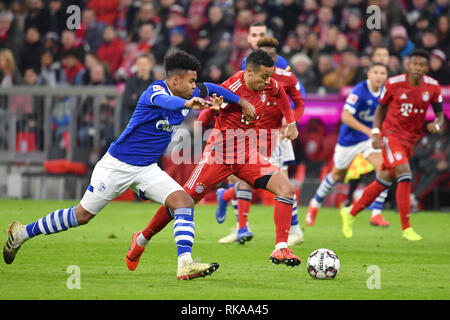 Munich, Allemagne. 09Th Feb 2019. Thiago ALCANTARA (FCB), action, les duels contre Weston KENNIE MC (FC Schalke 04). Le football 1. Bundesliga, 21.journée, journée21, FC Bayern Munich M) - FC Schalke 04 (GE) 3-1, le 09.02.2019 dans Muenchen ALLIANZARENA, DFL RÈGLEMENT INTERDIT TOUTE UTILISATION DE PHOTOGRAPHIE COMME DES SÉQUENCES D'IMAGES ET/OU QUASI VIDÉO. Utilisation dans le monde entier | Credit : dpa/Alamy Live News Banque D'Images