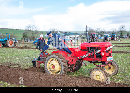 Timogeague, Cork, Irlande. 10 fév, 2019. Rebecca Jennings watchs son père Gordon labourer sur ses 1952 Pony Massey Harris à l'Ouest de Cork Association Labour match qui a eu lieu à tour du lac, dans le comté de Cork, Irlande Crédit : David Creedon/Alamy Live News Banque D'Images