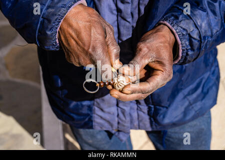 Un groupe de palmiers makalani, Hyphaene petersiana, à Fischers Pan dans le Nord de la Namibie Banque D'Images