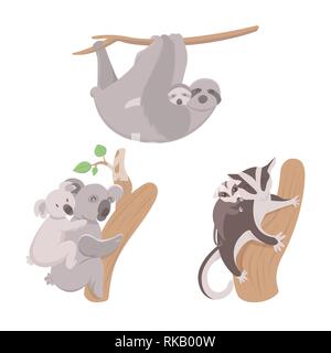 Le Koala, l'indolence et sugar glider avec progéniture isolé sur fond blanc. Illustration de Vecteur