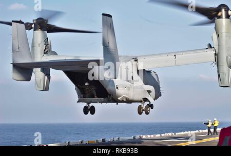 181229-M631-1002-QP DE LA MER D'OMAN (fév. 1, 2019) Une MV-22 Osprey avec la 22e Marine Expeditionary Unit (sur le poste de pilotage de la classe Wasp-navire d'assaut amphibie USS Kearsarge (LHD-3). Le balbuzard a transporté du personnel, du courrier et du fret en provenance du Qatar. Marines et de marins avec la 22e MEU et groupe amphibie Kearsarge sont déployés à la 5e flotte zone d'opérations à l'appui des opérations navales pour assurer la stabilité et la sécurité maritime dans la région Centrale, reliant la Méditerranée et le Pacifique à travers l'ouest de l'Océan indien et trois points d'étranglement stratégiques. (U.S. Marine Banque D'Images