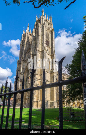 Beverley Minster, Beverley avant l'ouest, East Riding, Yorkshire, Angleterre Banque D'Images