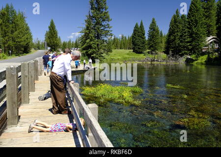 Big Springs sur la Henry's Fork, West Virginia, Snake River Banque D'Images