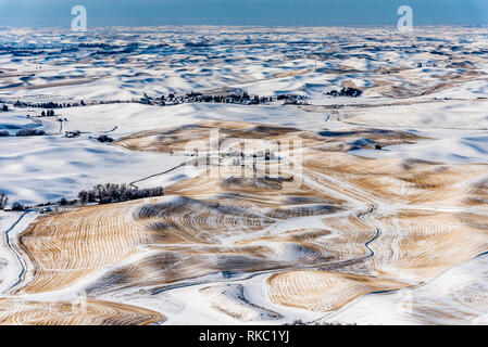 Des terres agricoles couvertes de neige dans les collines de la Palouse de Steptoe Butte. Banque D'Images