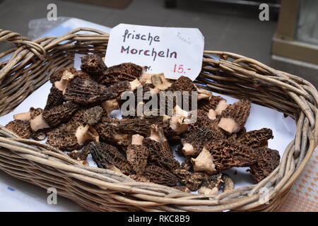 Morchella au marché à Chur Banque D'Images