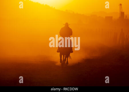 L'Apan, Hidalgo, USA. 10 fév, 2019. Un Mexicain Charro arrondit un troupeau de chevaux qui courent à travers un champ sur un ranch mexicain au lever du soleil (Image Crédit : © Walter G Arce Sr Asp Inc/ASP) Credit : ZUMA Press, Inc./Alamy Live News Banque D'Images