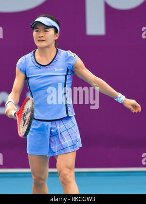 Doha, Qatar. 10 fév, 2019. Shuko Aoyama du Japon réagit au cours du match de qualification contre l'Ajla Tomljanovic de l'Australie à la WTA 2019 Open du Qatar à Doha, Qatar, le 10 février 2019. Shuko Aoyama a perdu 1-2. Credit : Nikku/Xinhua/Alamy Live News Banque D'Images