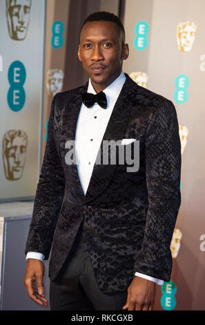 Londres, Royaume-Uni. 10 fév, 2019. Mahershala Ali assiste à l'EE British Academy Film Awards au Royal Albert Hall, Londres, Angleterre le 10 février 2019 Crédit : Gary Mitchell, GMP Media/Alamy Live News Banque D'Images