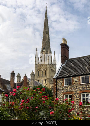 NORWICH, NORFOLK, Royaume-Uni - 13 JUIN 2018 : vue sur la cathédrale de la Spire de Norwich parmi les maisons environnantes Banque D'Images