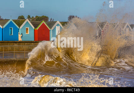 Southwold, Suffolk. UK. 8 janvier, 2019. Une femme à l'abri parmi les cabanes de plage photographies les forts vents et une mer à Southwold, Suffolk, Banque D'Images