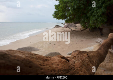 Maisons en bois rond texturé sur Hat Thong Reng beach de Ko Pha-ngan, Thaïlande Banque D'Images