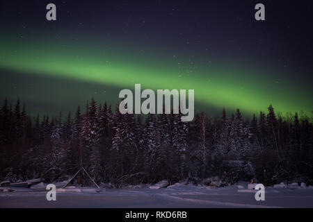 Les aurores boréales au cours de danses de l'Île Jolliffe photographiée de sur la glace d'un Grand lac des Esclaves à Yellowknife, Territoires du Nord-Ouest, Canada. Banque D'Images
