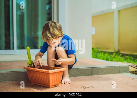 Peu cute boy sème les graines dans un pot de fleur dans le jardin. Banque D'Images