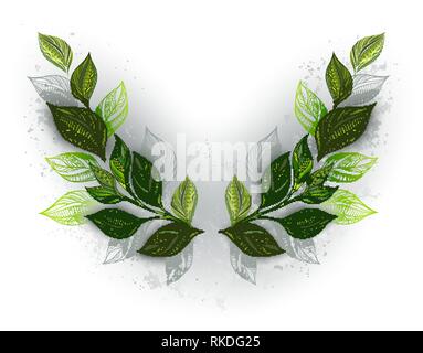 Motif symétrique à motifs de feuilles de thé vert et gris sur fond blanc. Plateau design. Illustration de Vecteur