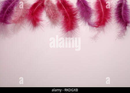 Les plumes de couleur rouge sur fond rose bordure supérieure de célébration pour Fastelavn Banque D'Images