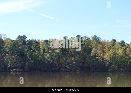 Une ligne d'arbres denses le long de la rive du Grand lac sur l'embranchement de Sal Umstead State Park, North Carolina, USA, par un beau jour, ciel voilé Banque D'Images