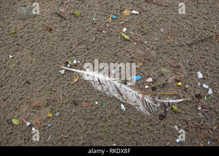 Petits morceaux de déchets plastiques colorés trouvés échoués sur la plage dans le parc national Pacific Rim, l'île de Vancouver, Canada Banque D'Images