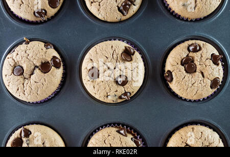 La vanille fait maison et de chocolat muffins sur un arrière-plan noir Banque D'Images