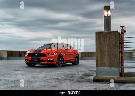 2015 Ford Mustang GT Banque D'Images