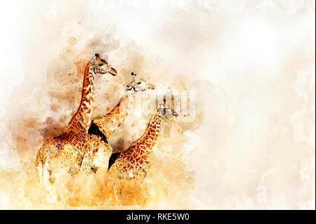 Illustration aquarelle portrait de girafe. Belle wildlife world Banque D'Images