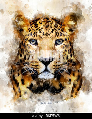 Illustration aquarelle leopard portrait. Belle wildlife world Banque D'Images