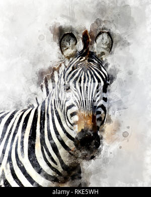 Illustration à l'aquarelle avec un zèbre portrait. Belle wildlife world Banque D'Images