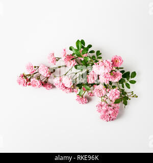 Bouquet de fleurs rose rose. Les petites roses du jardin d'été escalade sur fond blanc. Haut de la vue, télévision lay. Floral design Banque D'Images