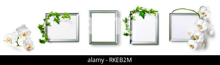 Photo photo frame avec feuilles de lierre vert et blanc Collection de fleurs orchidée isolé sur fond blanc. Éléments de conception de bannière thème, copiez Banque D'Images