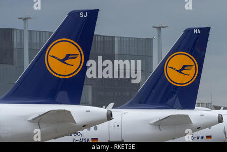 11 février 2019, Hessen, Frankfurt/Main : Les logos de la compagnie aérienne Lufthansa peut être vu sur des avions à l'aéroport de Francfort. Photo : Silas Stein/dpa Banque D'Images