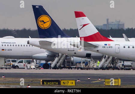 11 février 2019, Hessen, Frankfurt/Main : Les logos des compagnies aériennes Lufthansa (l) et Austrian Airlines peut être vu sur des avions à l'aéroport de Francfort. Photo : Silas Stein/dpa Banque D'Images