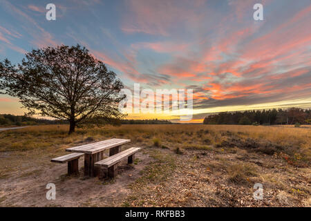 Table de pique-nique dans la réserve naturelle des landes sous bel coucher du soleil avec orange et rose nuages dans Drenthe, Pays-Bas. Banque D'Images