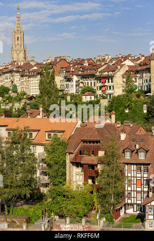 Voir oh la vieille ville et de la cathédrale La cathédrale de Berne à Berne, Suisse Banque D'Images