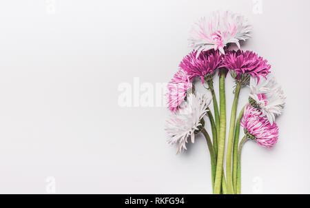 Bouquet de gerberas flowers on white 24, Vue de dessus avec l'exemplaire de l'espace. Peut utilisé pour la fête des Mères, la journée de la femme ,, un anniversaire ou mariage. Carte de souhaits Banque D'Images