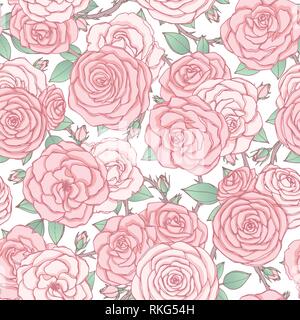 Transparente avec motif vecteur rose rose fleurs et feuilles sur fond blanc. Ornement floral vintage de fleurs au croquis style. Le thème du printemps. Pour Illustration de Vecteur