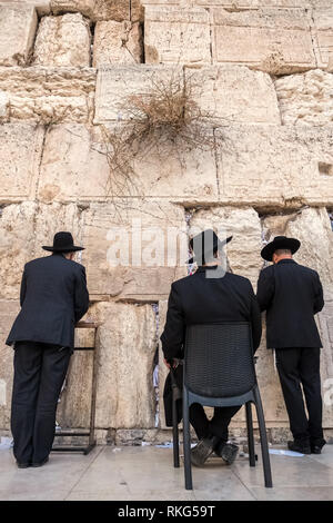Les juifs orthodoxes religieux priant au mur occidental à Jérusalem Banque D'Images