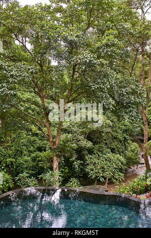 Belle piscine à bord lisse sur l'arrière-plan vert à l'extérieur, dans la jungle d'Ubud à Bali. Son fond est carrelée de mosaïque. Il y a des fleurs d'un rouge Banque D'Images