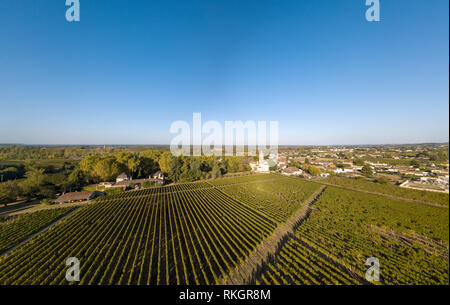 Vue aérienne de vignes au soleil, les vignes de Loupiac, vignobles de Bordeaux, France Banque D'Images