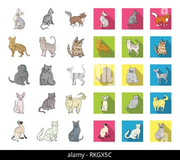 Angora,américain,animal,race,apparence,la,caricature,télévision,cat,personnage,chartreux,chocolat,collection,griffe,cornish,mignon,design,branche,exotiques,pliage,félin fourrure,les habitudes,icône,,illustration,et,aussi,isolé,cheveux longs,mammifère,rock,norvégien persan,animal,peterbald,purr,rex,savannah,scottish,semi,set,shorthair siamois,signe,sphynx,symbole,câline,turque,,laine,New york,vecteurs vecteur , Illustration de Vecteur