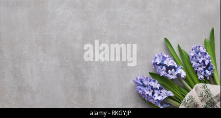 Fleurs de jacinthe bleu sur fond noir en lumière, vue du dessus avec l'exemplaire-espace. Coin Floral, composition florale avec bannière et beaucoup d'angle spa texte Banque D'Images