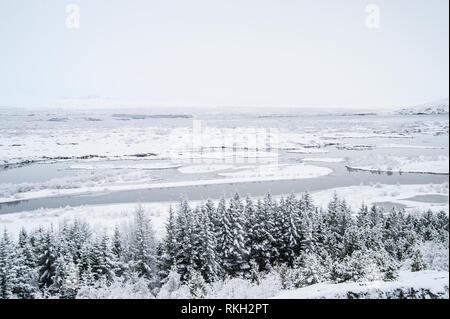 Islande : un rift Silfra S.p.a. est formé dans la divergence entre la frontière tectonique et de l'Amérique du Nord et les plaques eurasienne est situé dans le Þingvallavatn Banque D'Images