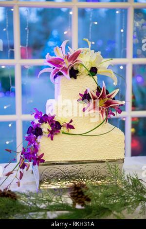 Gateau De Mariage Eclaire De Facon Spectaculaire A Une Reception Dans L Oregon Au Cours De L Hiver Photo Stock Alamy Gateau De Mariage Eclaire De Facon Spectaculaire A Une Reception Dans L Oregon Au Cours De L Hiver Photo Stock Alamy