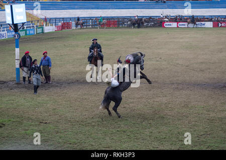 Festival de Doma y festival de folklore des broncos de tronçonnage et le folklore de la musique traditionnelle, la plus grande d'Amérique du Sud, tenue en Jésus Maria Argentine. Banque D'Images