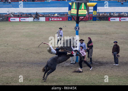 Festival de Doma y festival de folklore des broncos de tronçonnage et le folklore de la musique traditionnelle, la plus grande d'Amérique du Sud, tenue en Jésus Maria Argentine. Banque D'Images