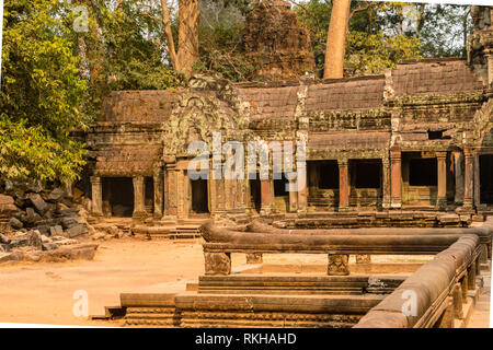 Ruines, temples et statues au lever de dépeindre la culture khmère à Ta Prohm, Angkor Wat , UNESCO World Heritage Site, iSiem Reap Cambodge, Asie, Banque D'Images