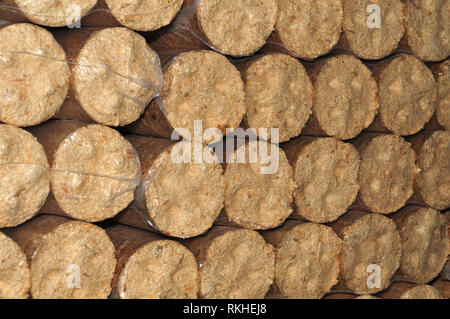 Pile de bois briquettes à partir de la biomasse en plastique scellé avec Banque D'Images