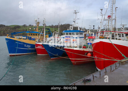 Les chalutiers de pêche amarrés le long d'un quai. Union Hall, West Cork, Irlande Banque D'Images