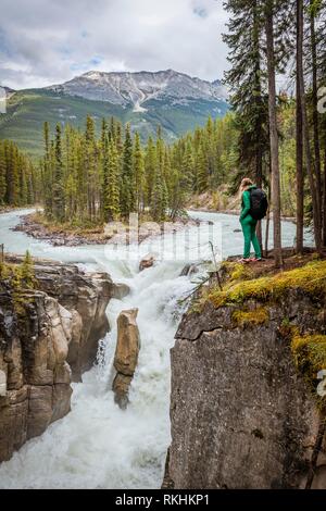 Randonneur en face de Sunwapta Falls Cascade, à la promenade des Glaciers Rivière Sunwapta, Parc National Jasper, Rocheuses, Alberta Banque D'Images