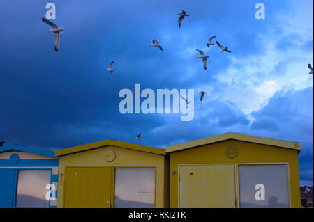 Célèbre cabines colorées de Seaford avec les mouettes dans le ciel d'orage. Banque D'Images